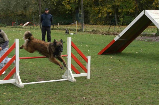 agility 2011-10-30